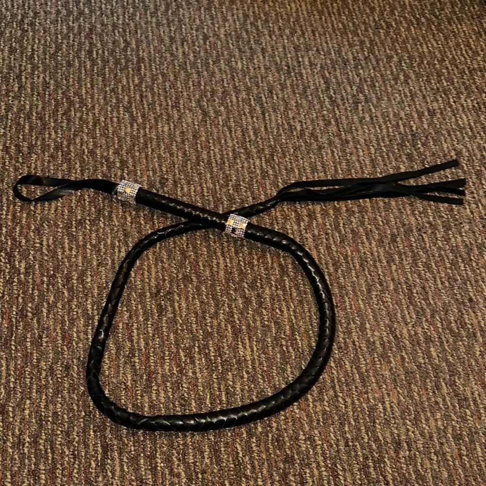 halloween costume whip